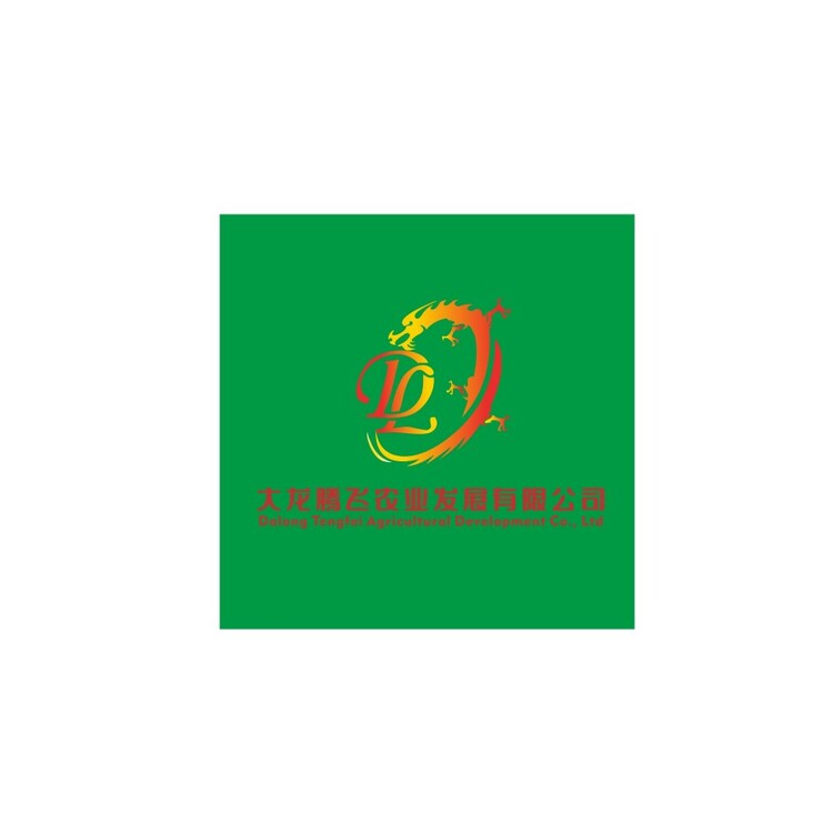 大龙logo