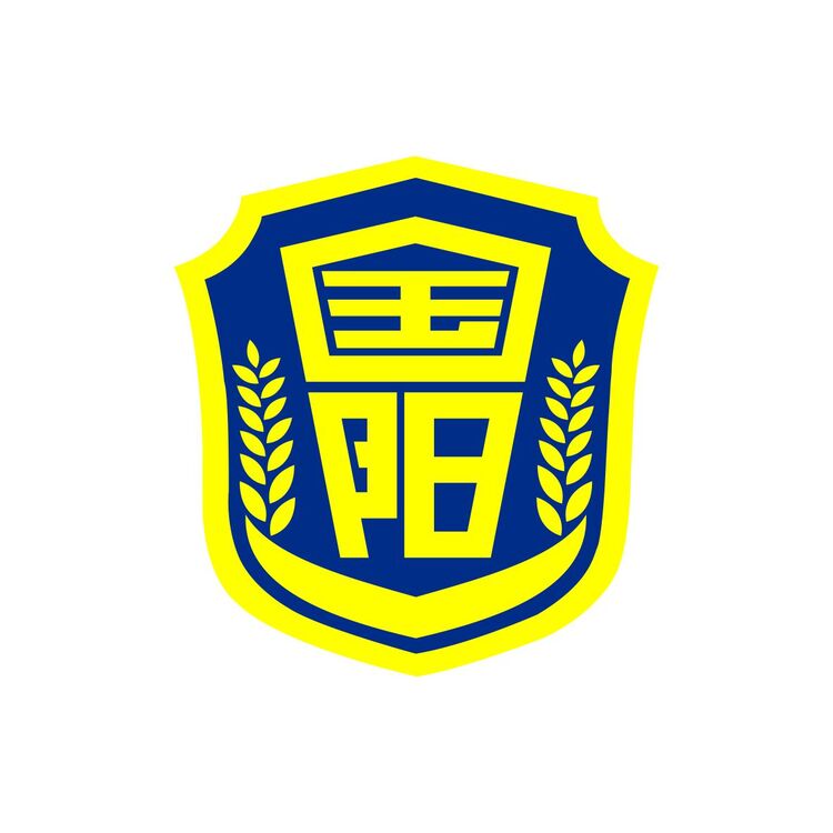 国阳保安服务logo