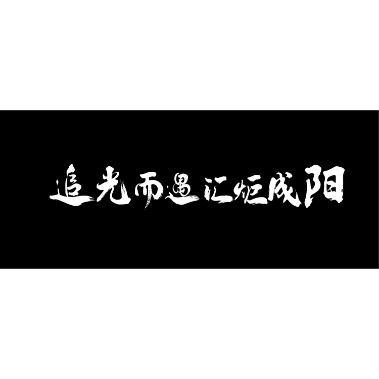 追光而遇logo