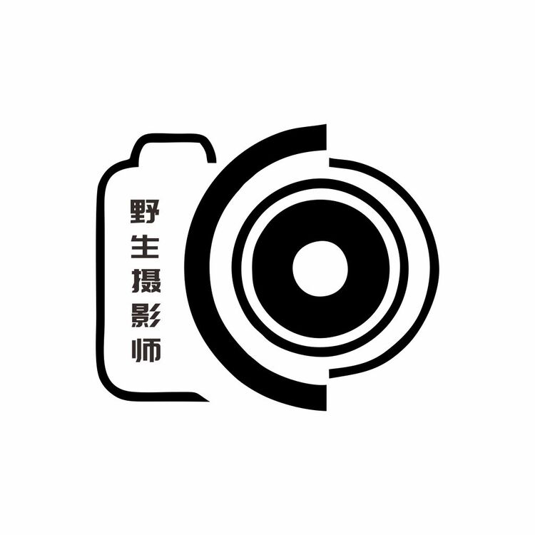 野生摄影师logo