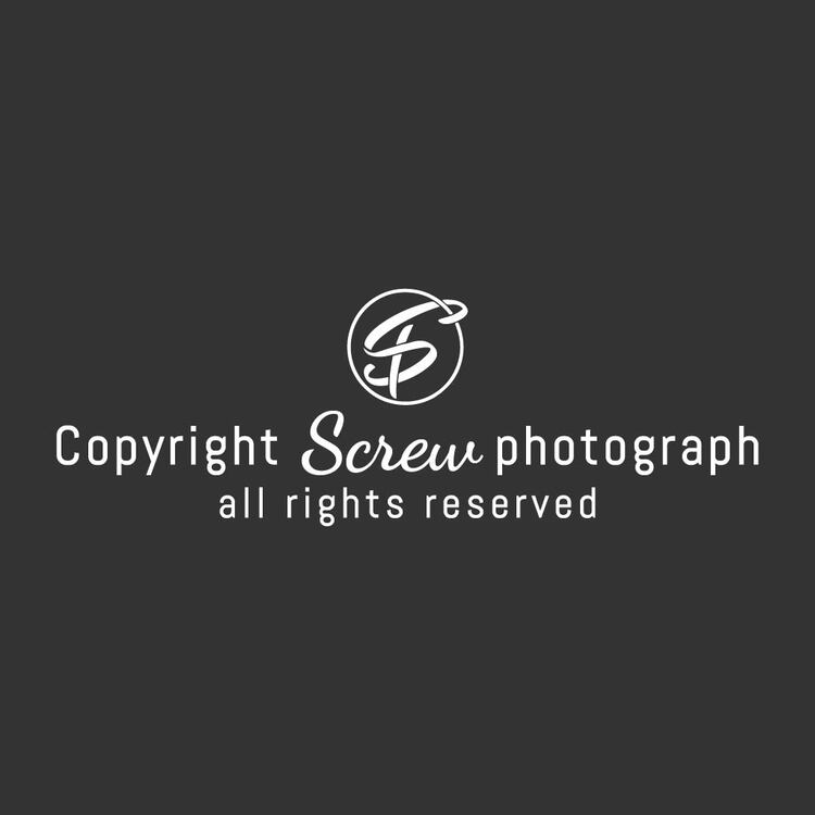 copyrightscrewphotographylogo